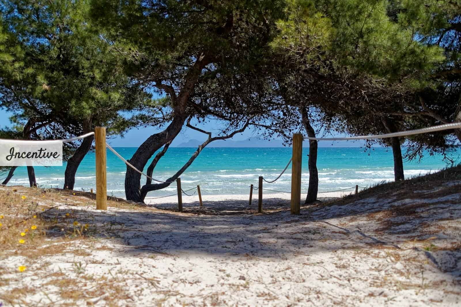 Qué ver y hacer en Mallorca en 4 días